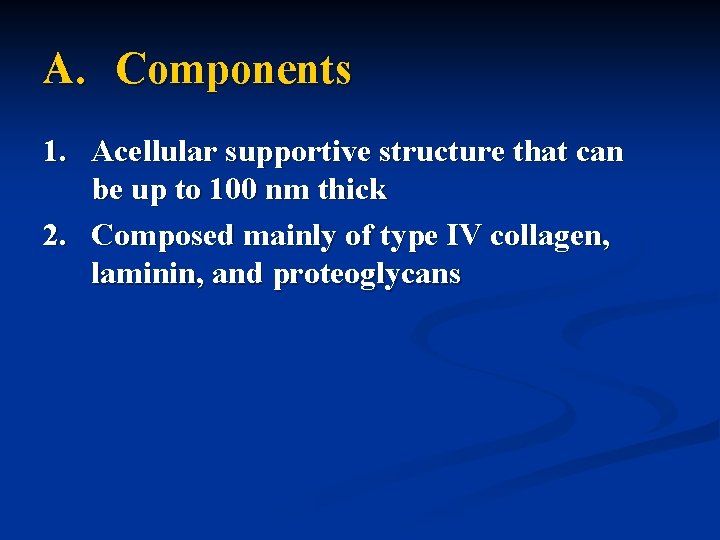 A. Components 1. Acellular supportive structure that can be up to 100 nm thick