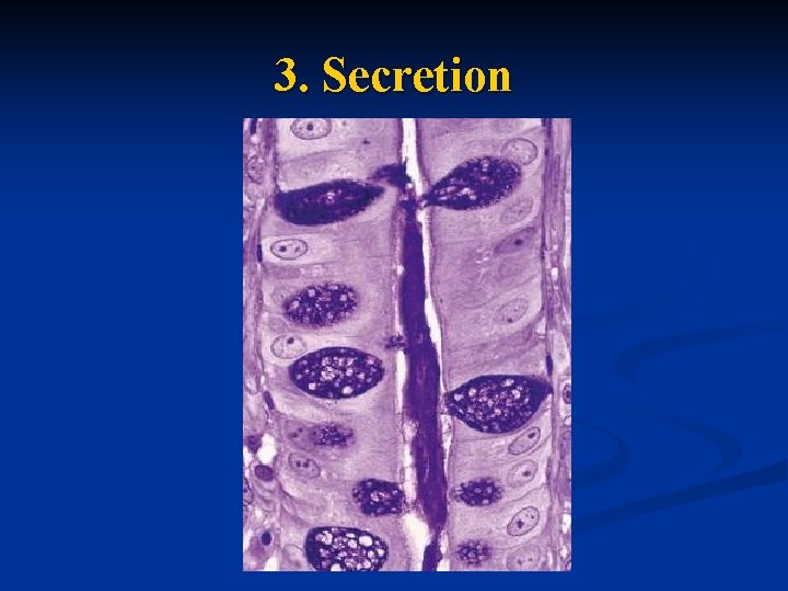 3. Secretion 