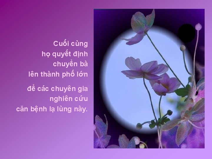 Cuối cùng họ quyết định chuyển bà lên thành phố lớn để các chuyên