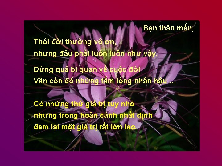 Bạn thân mến, Thói đời thường vô ơn, nhưng đâu phải luôn như vậy.