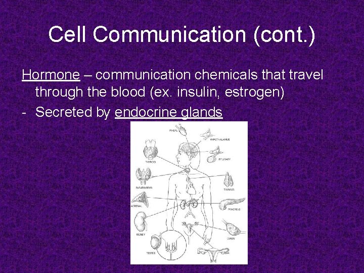 Cell Communication (cont. ) Hormone – communication chemicals that travel through the blood (ex.