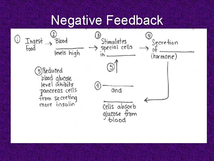 Negative Feedback 