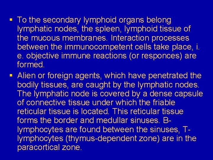 § To the secondary lymphoid organs belong lymphatic nodes, the spleen, lymphoid tissue of