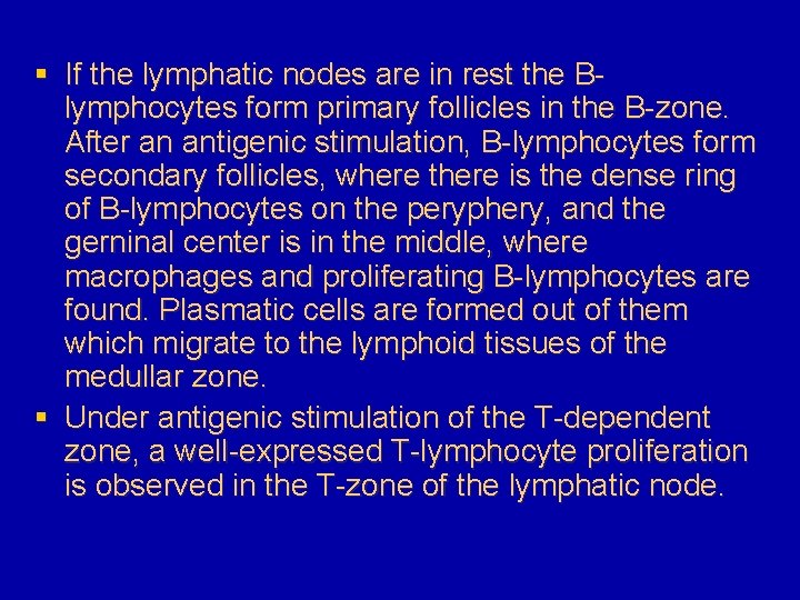 § If the lymphatic nodes are in rest the Blymphocytes form primary follicles in