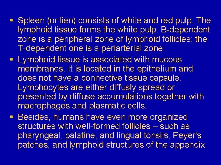 § Spleen (or lien) consists of white and red pulp. The lymphoid tissue forms