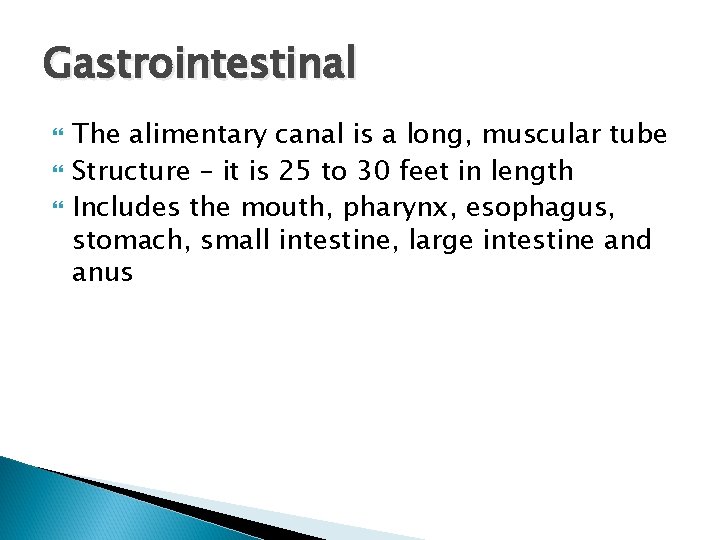 Gastrointestinal The alimentary canal is a long, muscular tube Structure – it is 25