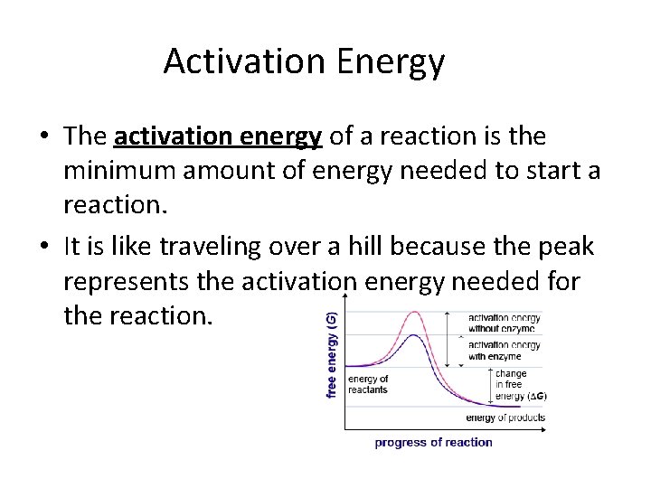 Activation Energy • The activation energy of a reaction is the minimum amount of