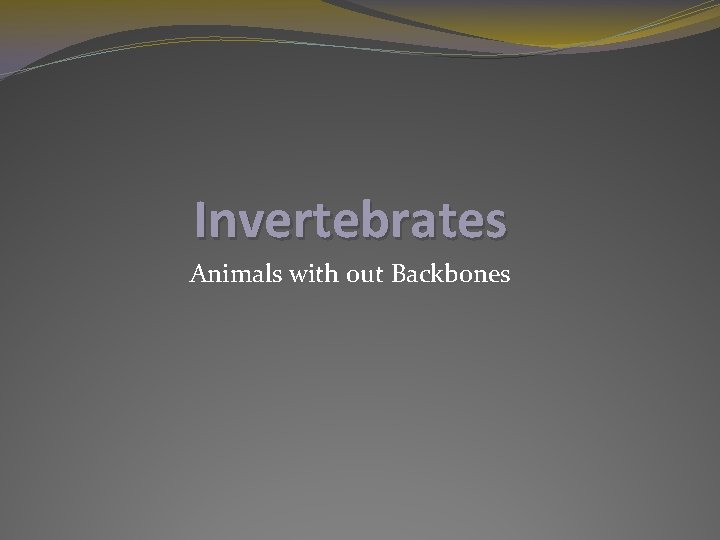 Invertebrates Animals with out Backbones 