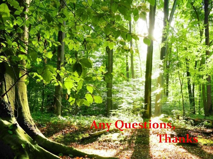 Any Questions, Thanks 