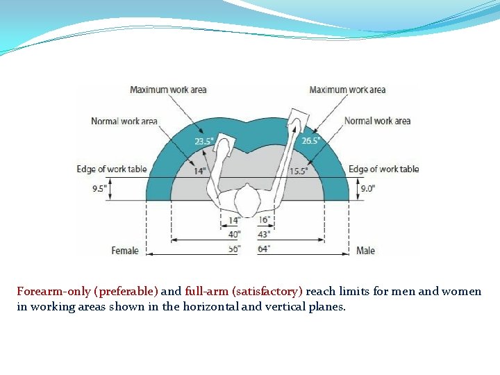 Forearm-only (preferable) and full-arm (satisfactory) reach limits for men and women in working areas