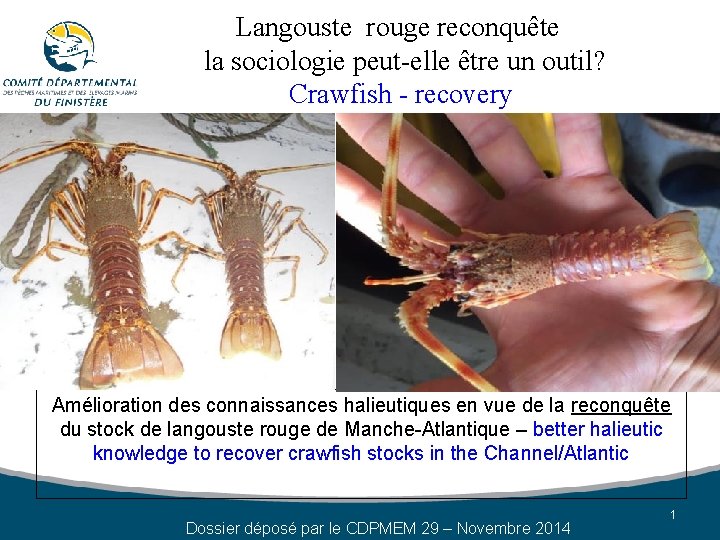 Langouste rouge reconquête la sociologie peut-elle être un outil? Crawfish - recovery Amélioration des