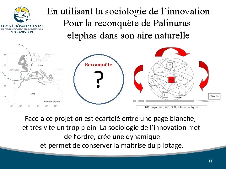 En utilisant la sociologie de l’innovation Pour la reconquête de Palinurus elephas dans son