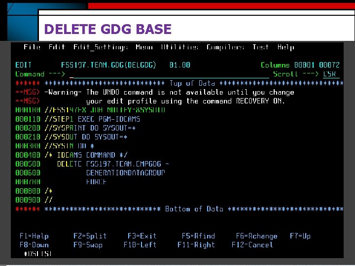 DELETE GDG BASE DELETE GDG BASE