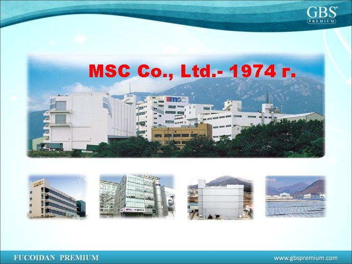 MSC Co. , Ltd. - 1974 г. 