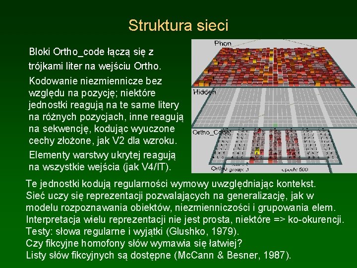 Struktura sieci Bloki Ortho_code łączą się z trójkami liter na wejściu Ortho. Kodowanie niezmiennicze