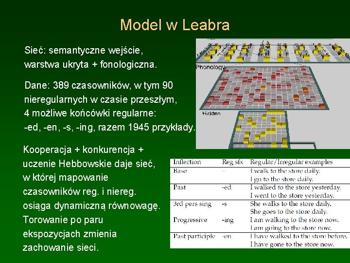 Model w Leabra Sieć: semantyczne wejście, warstwa ukryta + fonologiczna. Dane: 389 czasowników, w