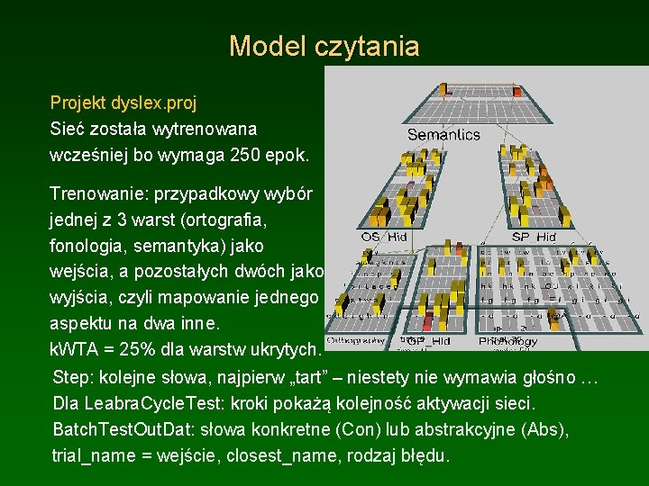 Model czytania Projekt dyslex. proj Sieć została wytrenowana wcześniej bo wymaga 250 epok. Trenowanie: