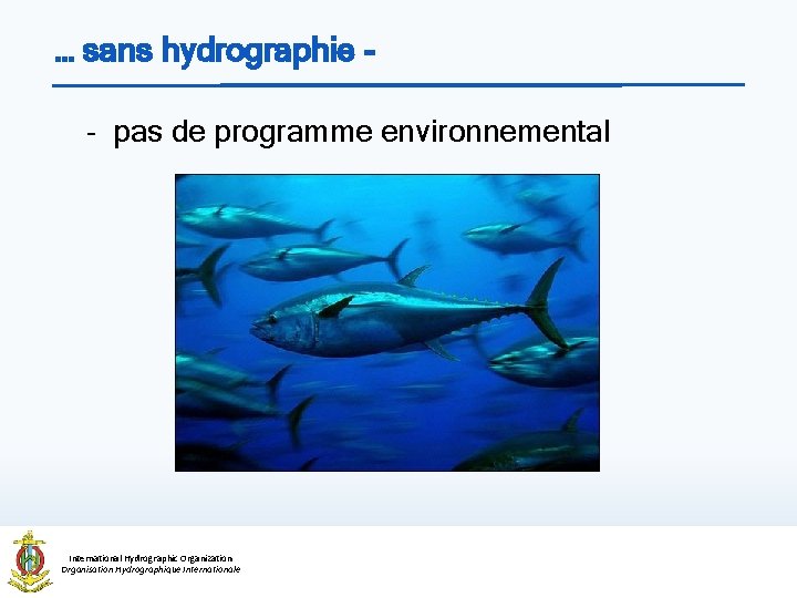 … sans hydrographie - pas de programme environnemental International Hydrographic Organization Organisation Hydrographique Internationale