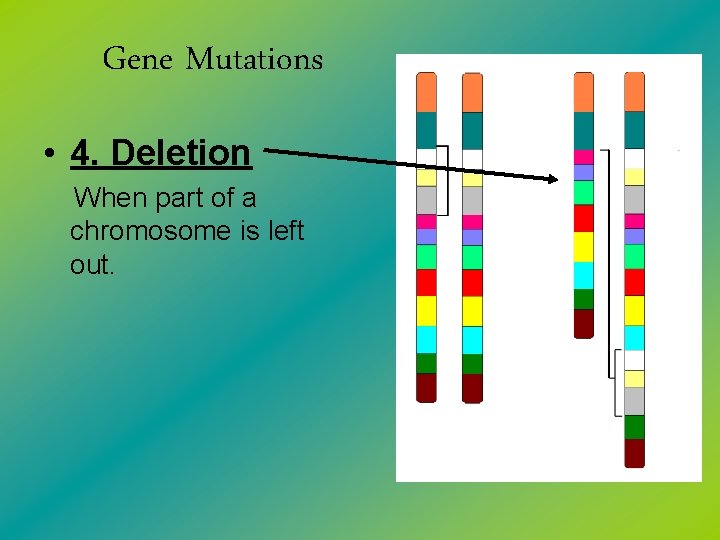 Gene Mutations • 4. Deletion When part of a chromosome is left out. 