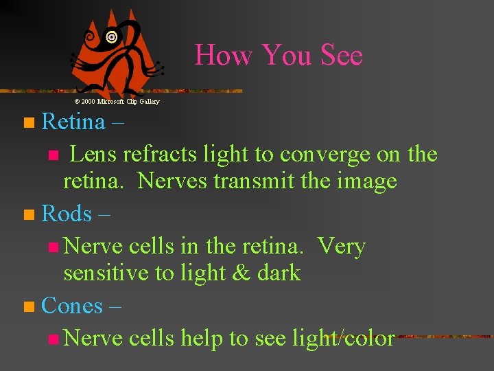 How You See © 2000 Microsoft Clip Gallery Retina – n Lens refracts light