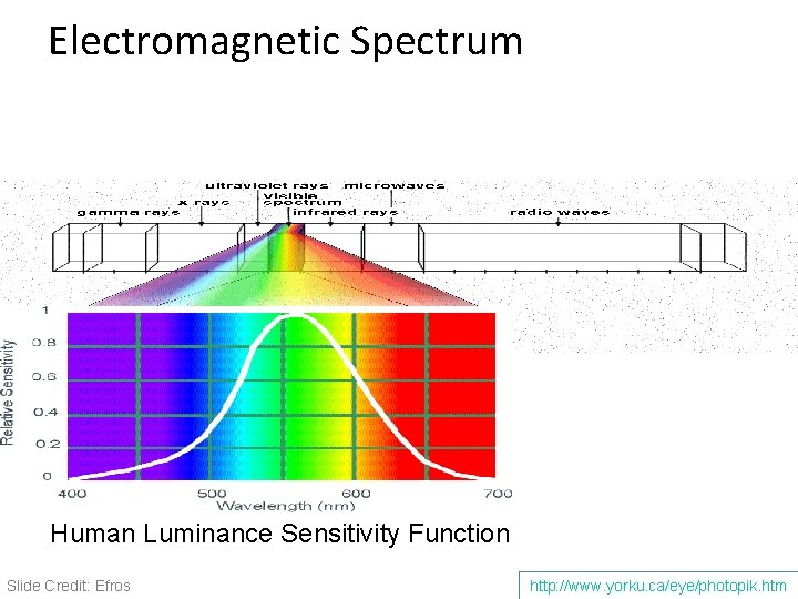 Electromagnetic Spectrum Human Luminance Sensitivity Function Slide Credit: Efros http: //www. yorku. ca/eye/photopik. htm Electromagnetic Spectrum Human Luminance Sensitivity Function Slide Credit: Efros http: //www. yorku. ca/eye/photopik. htm