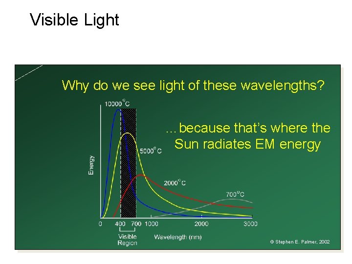 Visible Light Why do we see light of these wavelengths? …because that’s where the Visible Light Why do we see light of these wavelengths? …because that’s where the
