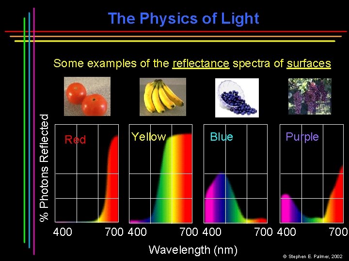 The Physics of Light % Photons Reflected Some examples of the reflectance spectra of The Physics of Light % Photons Reflected Some examples of the reflectance spectra of
