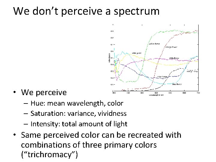 We don’t perceive a spectrum • We perceive – Hue: mean wavelength, color – We don’t perceive a spectrum • We perceive – Hue: mean wavelength, color –