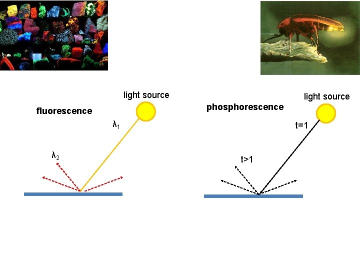 light source phosphorescence fluorescence λ 1 λ 2 t=1 t>1 light source phosphorescence fluorescence λ 1 λ 2 t=1 t>1