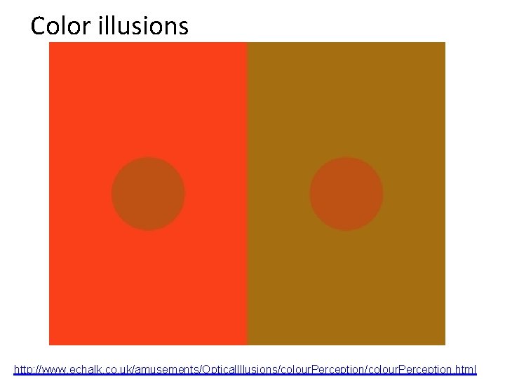 Color illusions http: //www. echalk. co. uk/amusements/Optical. Illusions/colour. Perception. html Color illusions http: //www. echalk. co. uk/amusements/Optical. Illusions/colour. Perception. html