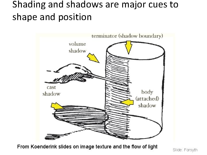 Shading and shadows are major cues to shape and position From Koenderink slides on Shading and shadows are major cues to shape and position From Koenderink slides on