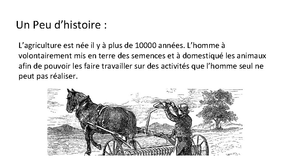 Un Peu d’histoire : L’agriculture est née il y à plus de 10000 années.