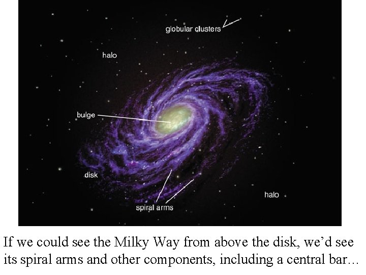 If we could see the Milky Way from above the disk, we’d see its