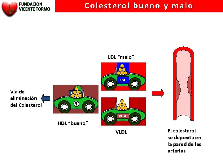 Colesterol bueno y malo LDL “malo” LDL Vía de eliminación del Colesterol HDL VLDL