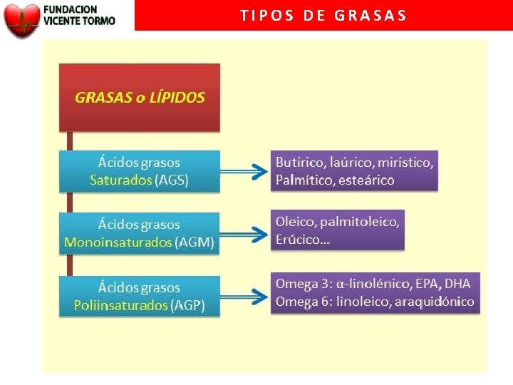 TIPOS DE GRASAS 