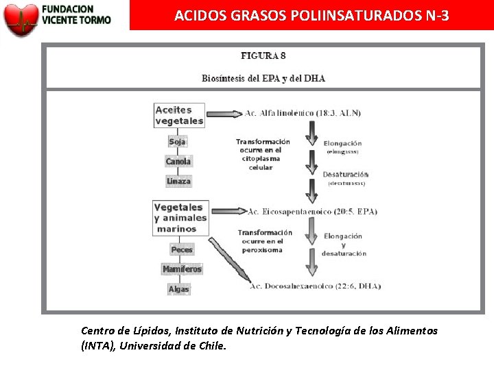 ACIDOS GRASOS POLIINSATURADOS N-3 Centro de Lípidos, Instituto de Nutrición y Tecnología de los