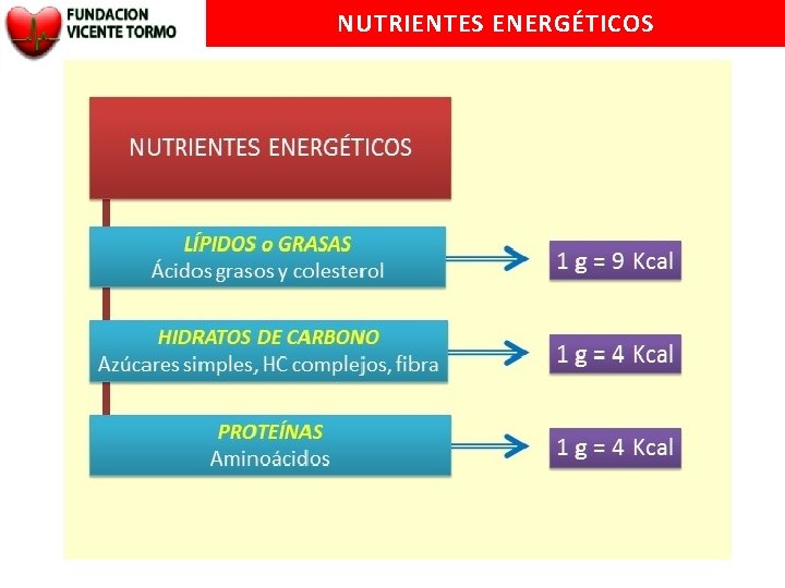NUTRIENTES ENERGÉTICOS 