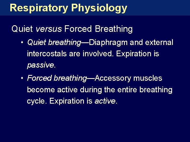 Respiratory Physiology Quiet versus Forced Breathing • Quiet breathing—Diaphragm and external intercostals are involved.