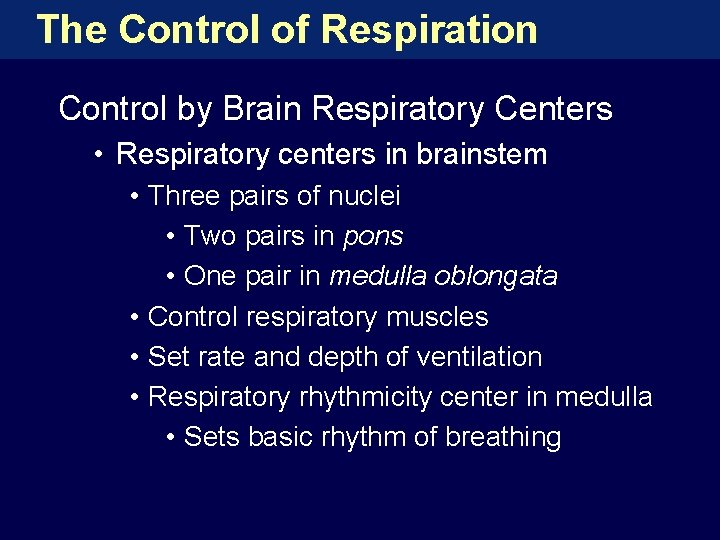The Control of Respiration Control by Brain Respiratory Centers • Respiratory centers in brainstem