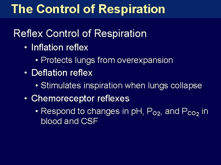 The Control of Respiration Reflex Control of Respiration • Inflation reflex • Protects lungs