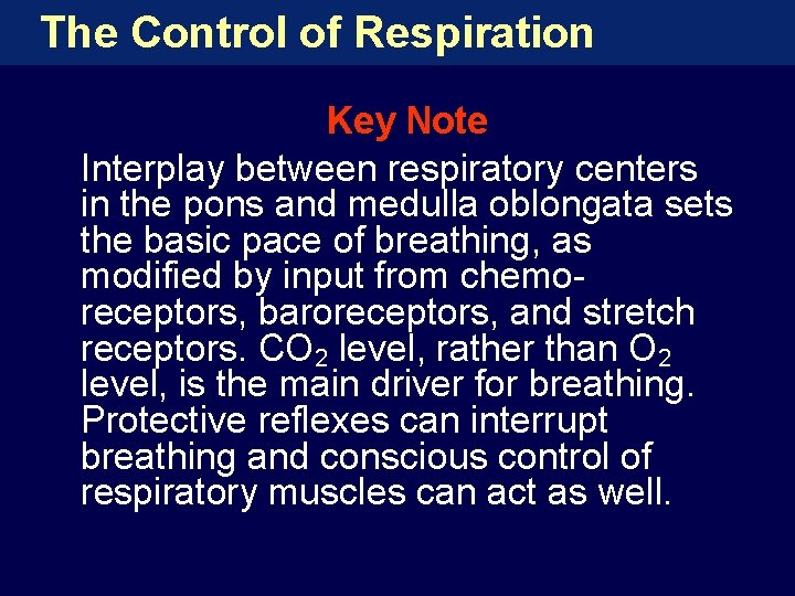 The Control of Respiration Key Note Interplay between respiratory centers in the pons and