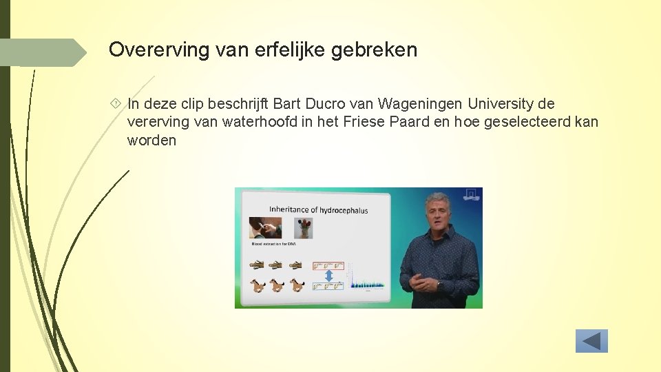 Overerving van erfelijke gebreken In deze clip beschrijft Bart Ducro van Wageningen University de