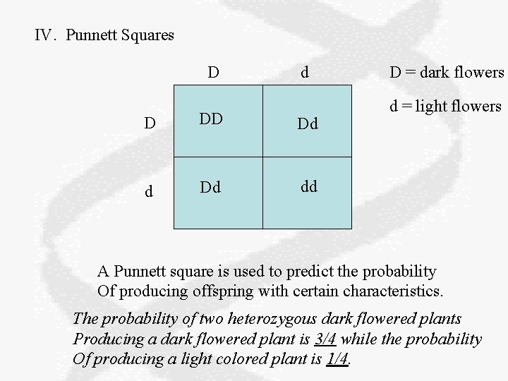 IV. Punnett Squares D d D DD Dd dd D = dark flowers d