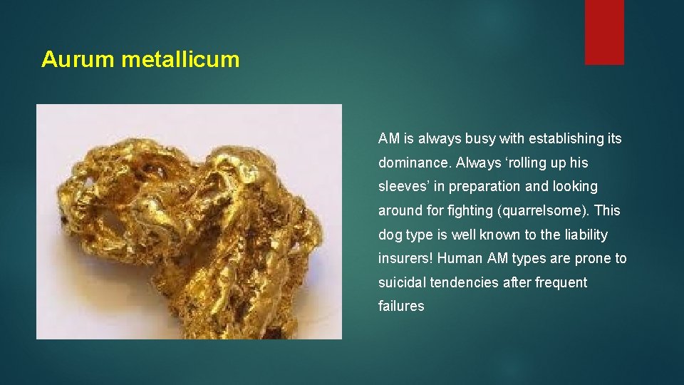 Aurum metallicum AM is always busy with establishing its dominance. Always ‘rolling up his