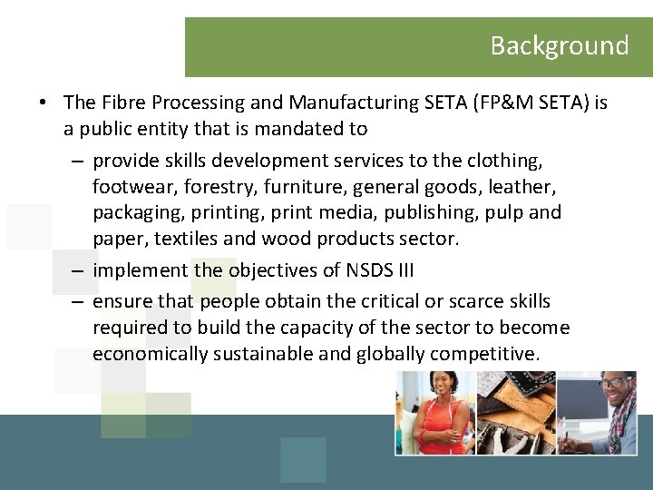 Background • The Fibre Processing and Manufacturing SETA (FP&M SETA) is a public entity