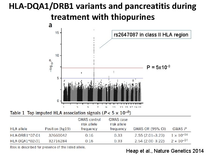 HLA-DQA 1/DRB 1 variants and pancreatitis during treatment with thiopurines rs 2647087 in class