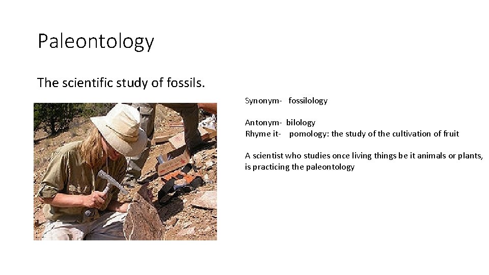 Paleontology The scientific study of fossils. Synonym- fossilology Antonym- bilology Rhyme it- pomology: the