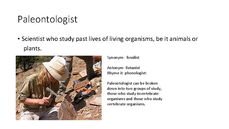 Paleontologist • Scientist who study past lives of living organisms, be it animals or