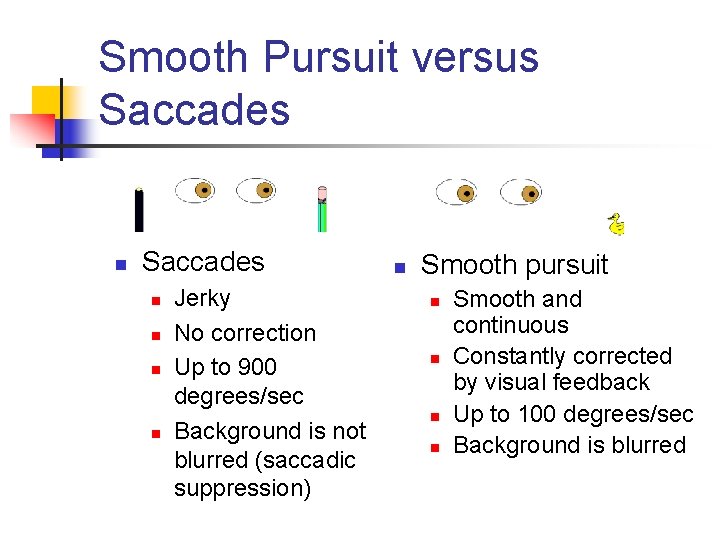 Smooth Pursuit versus Saccades n n n n Jerky No correction Up to 900