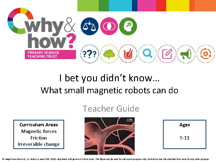I bet you didn’t know… What small magnetic robots can do Teacher Guide Curriculum